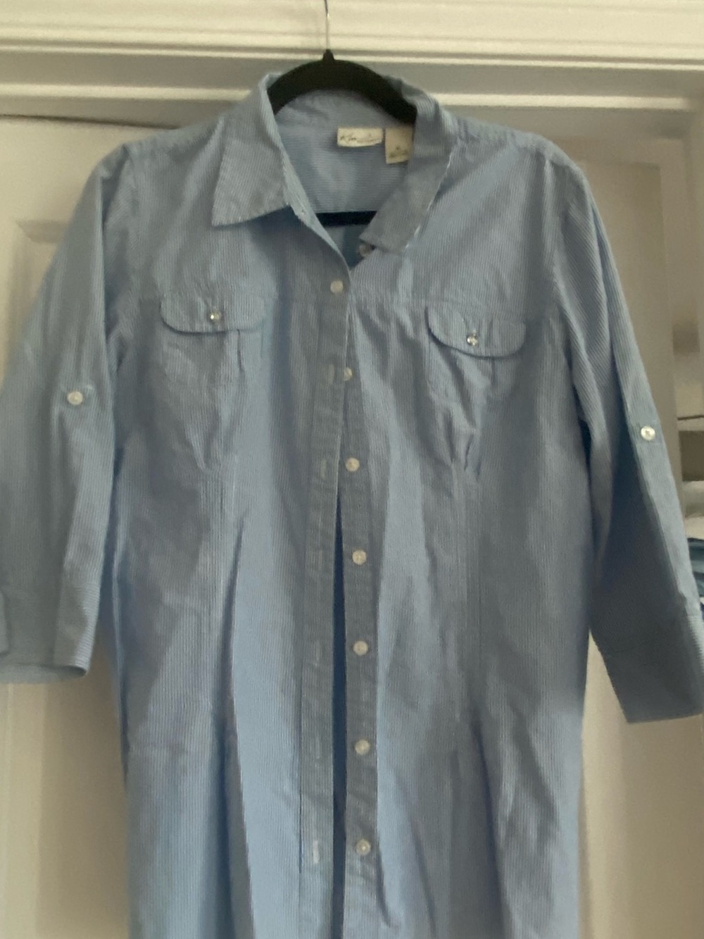 Kim Rogers Light Blue Pinstripe Button-Up Shirt